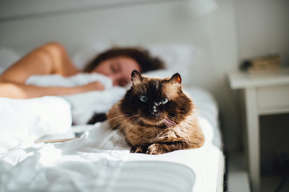 2022 Sleep Week Survey Results