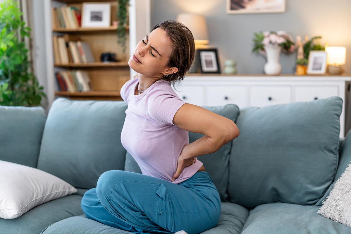 Back pain and anatomy explained
