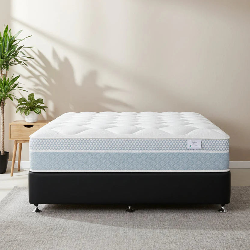 Sleepyhead mattress on a stand in a room with plants and a side table.